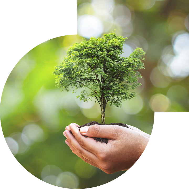 关怀人类、文化、环境与社会